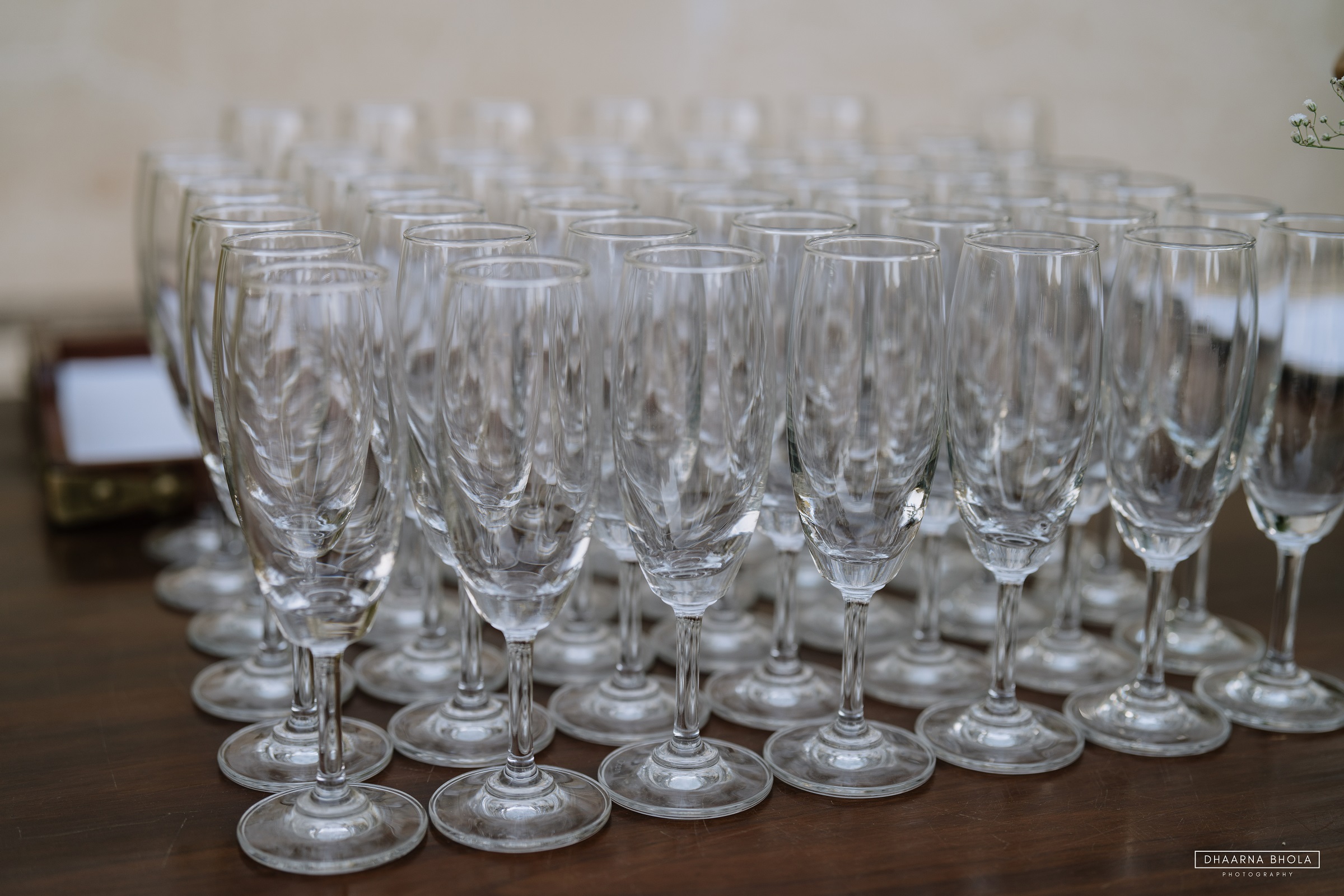 Image from Wedding - Samode Bagh